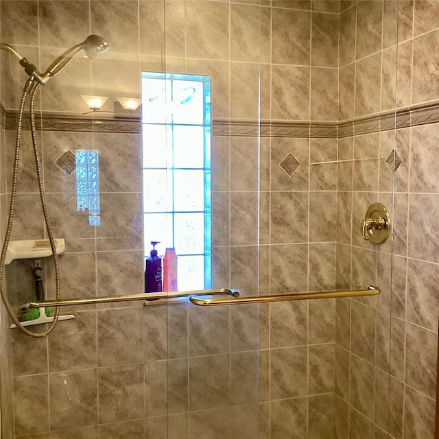1428 Pine Island Ct, Punta Gorda, FL 33950 - full bathroom featuring tiled shower