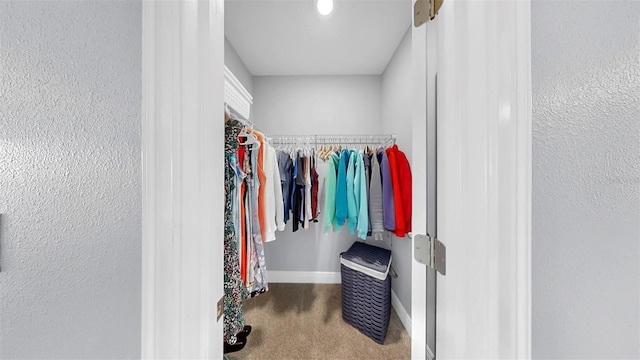 spacious closet with carpet floors