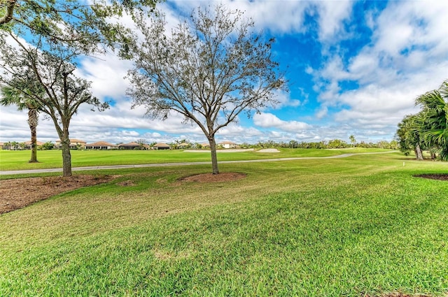 view of home's community featuring a yard