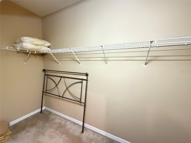 spacious closet featuring carpet flooring