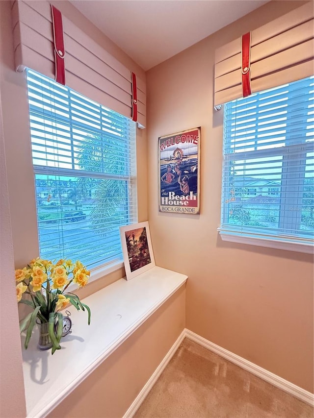 interior space featuring carpet flooring and baseboards