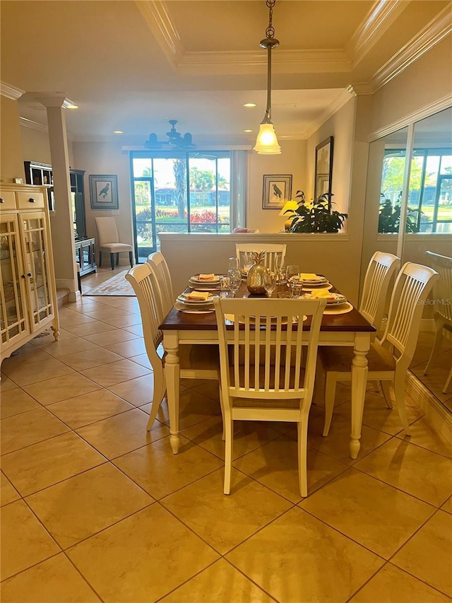 dining area featuring a tray ceiling, plenty of natural light, and crown molding