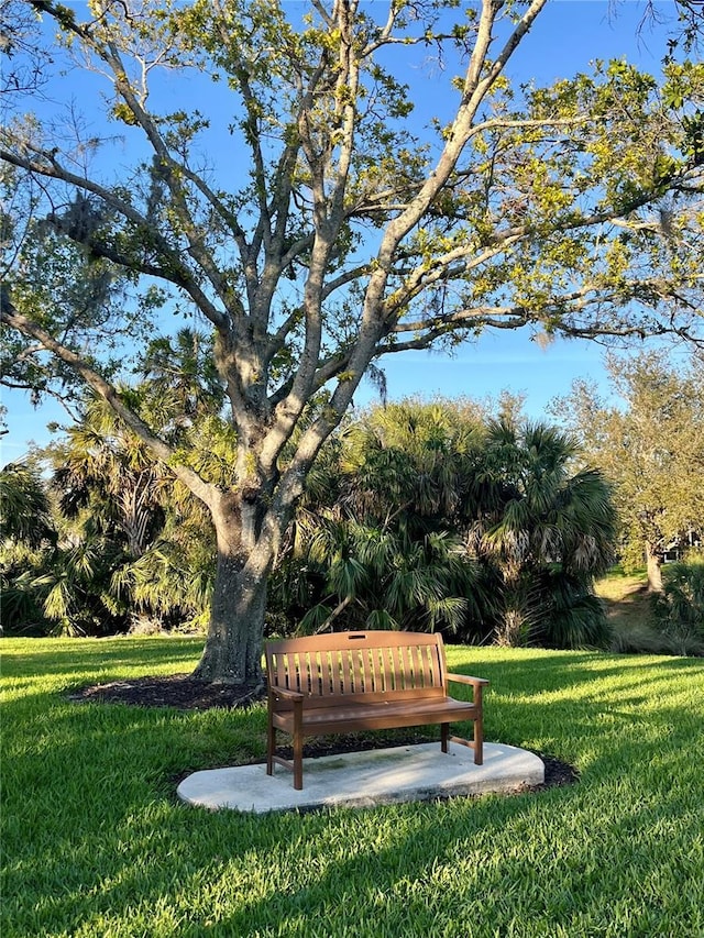 view of property's community featuring a lawn