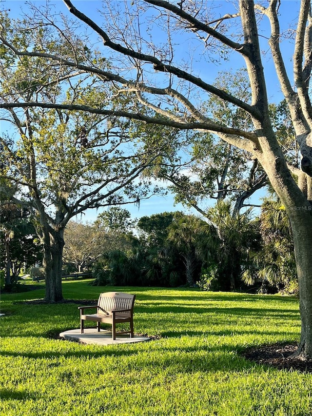 view of community with a lawn