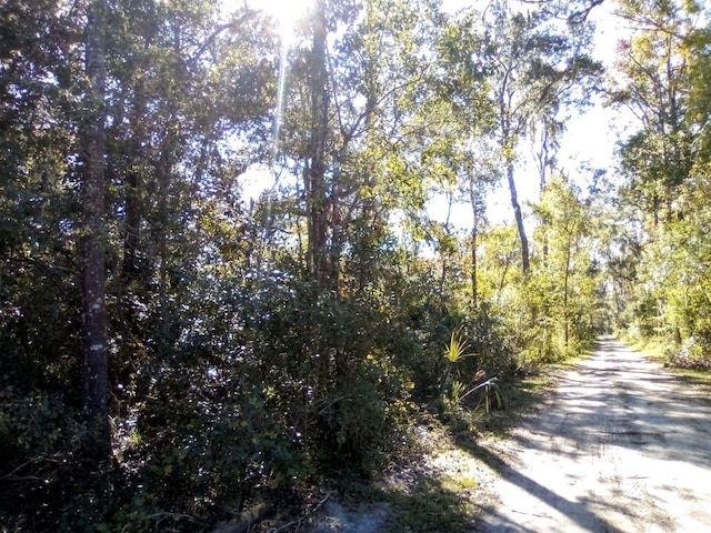 Se 65 Avenue, Summerfield FL, 34491 land for sale