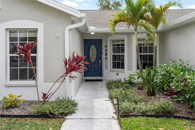 view of exterior entry with a shingled roof and stucco siding