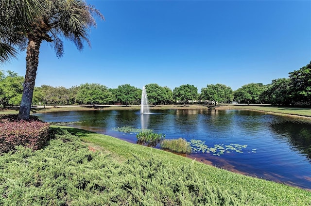 view of water feature