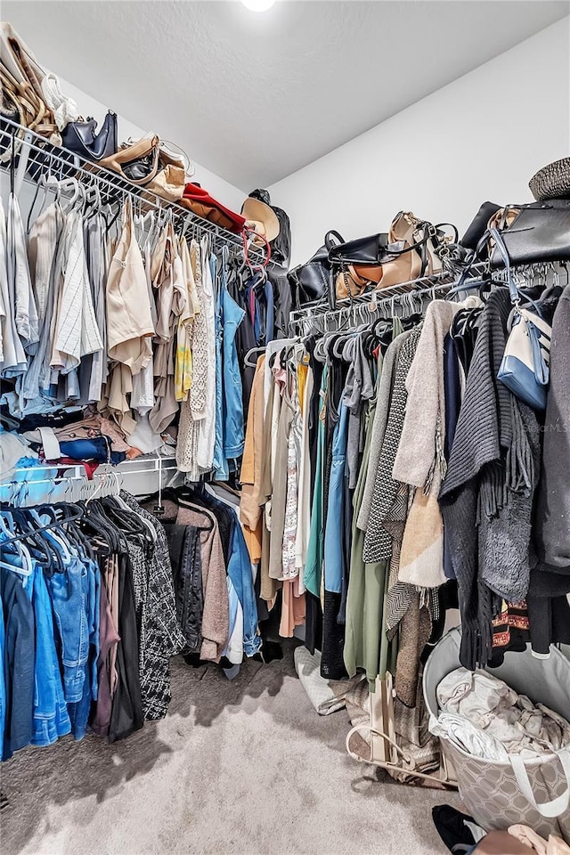 walk in closet featuring carpet flooring