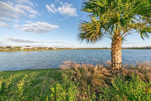 property view of water