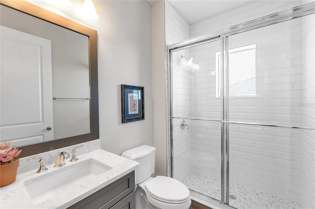 full bath featuring vanity, a shower stall, and toilet