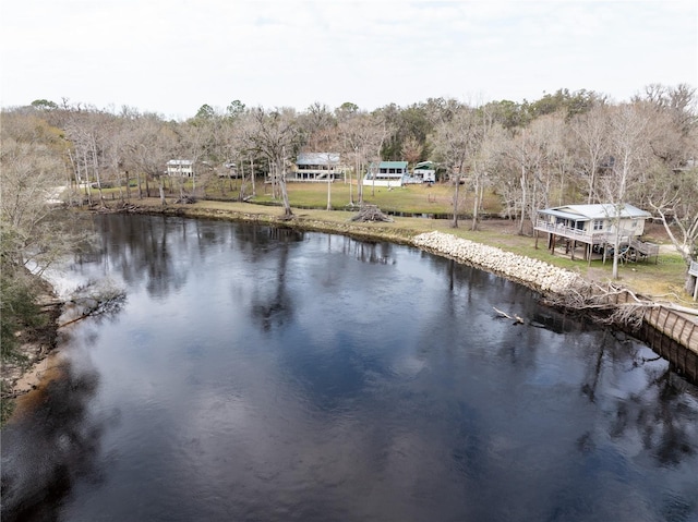 property view of water featuring a wooded view