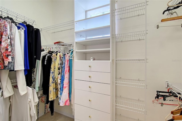 view of spacious closet