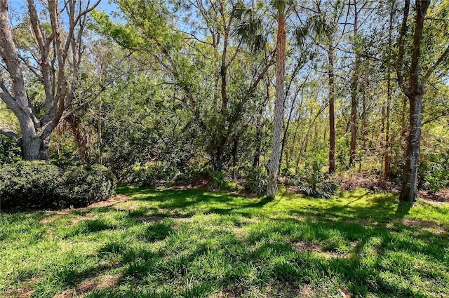 view of yard featuring a forest view