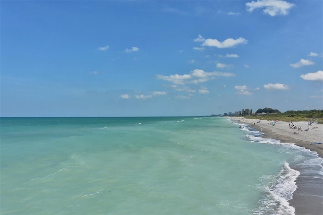 property view of water featuring a beach view