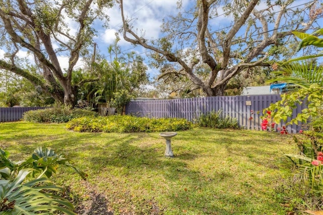 view of yard featuring a fenced backyard