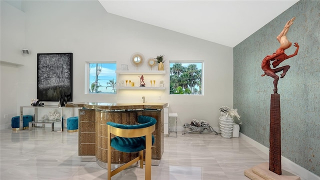 bar featuring indoor wet bar, marble finish floor, a healthy amount of sunlight, and high vaulted ceiling