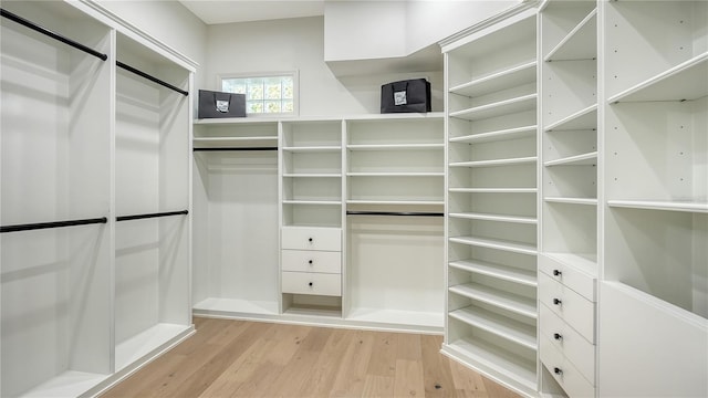 walk in closet with light wood-type flooring