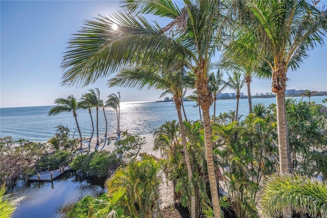 3935 N Shell Rd, Sarasota, FL 34242 - water view