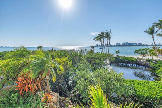 3935 N Shell Rd, Sarasota, FL 34242 - water view