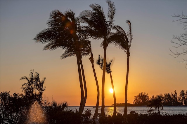 3935 N Shell Rd, Sarasota, FL 34242 - nature at dusk featuring a water view
