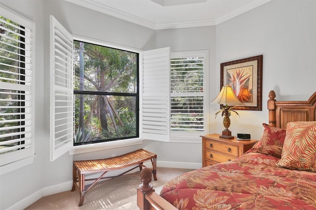 bedroom with ornamental molding, carpet, and baseboards