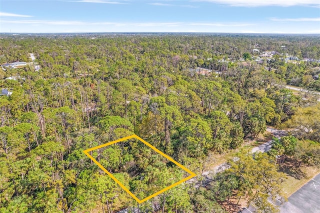 17474 Geddes Ave, Port Charlotte, FL 33954