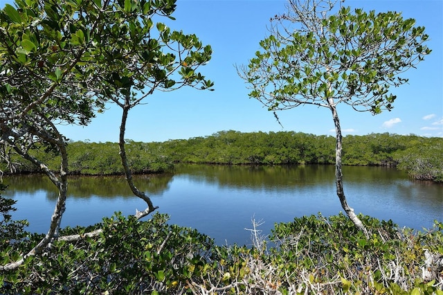 property view of water featuring a view of trees