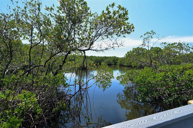 view of water feature