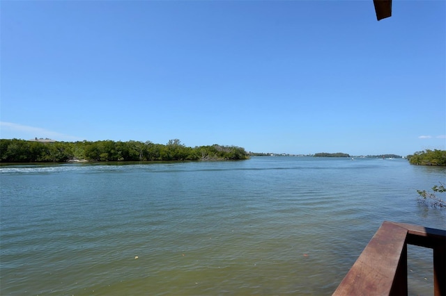 property view of water featuring a boat dock