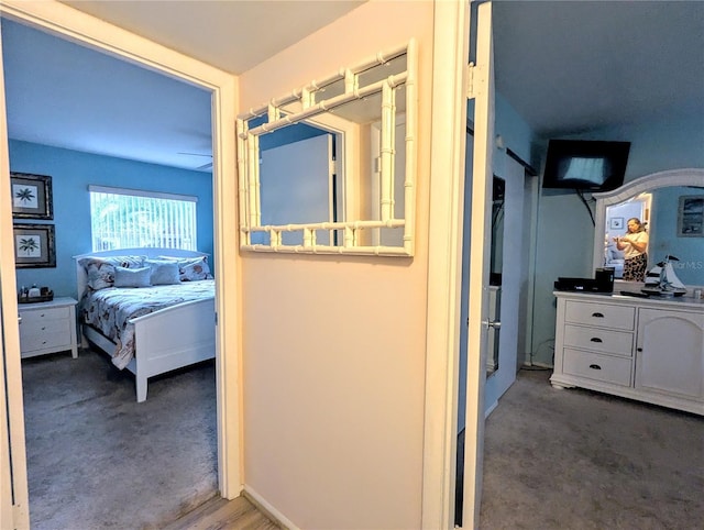 2057 Sunset Dr Unit G1, Bradenton, FL 34207 - hallway with dark colored carpet