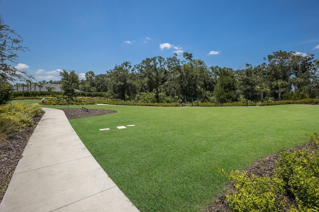 surrounding community featuring a yard