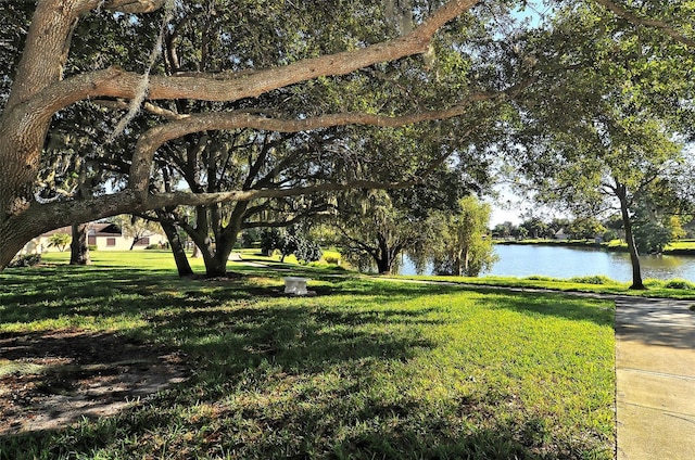 view of yard featuring a water view