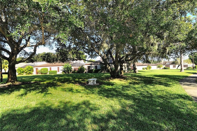view of yard with a residential view