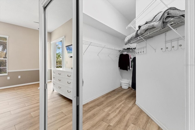 spacious closet featuring light wood-style flooring