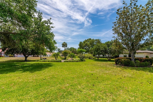 view of yard