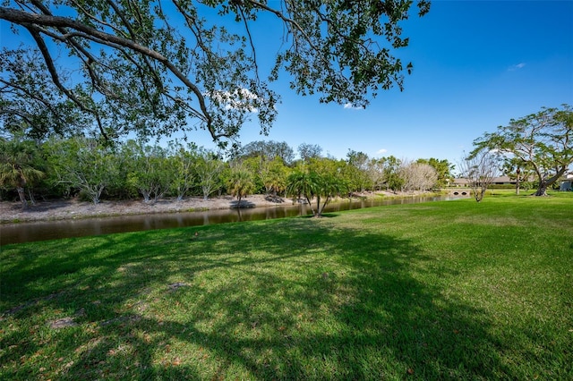 view of yard with a water view