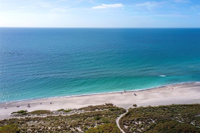 view of water feature featuring a view of the beach