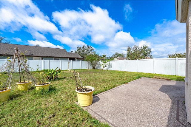 view of yard with a patio area and a fenced backyard