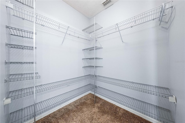 walk in closet featuring carpet and visible vents