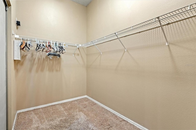 walk in closet featuring carpet flooring