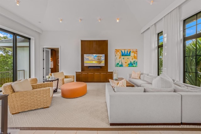 living area featuring plenty of natural light and high vaulted ceiling