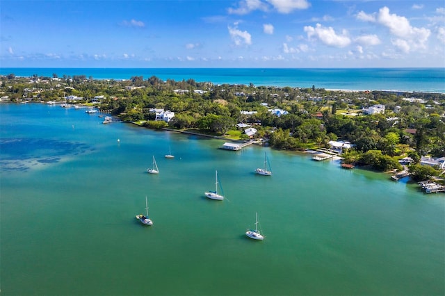 aerial view with a water view