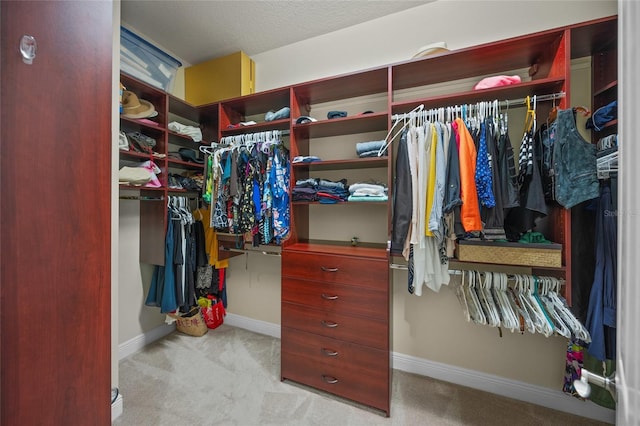 7108 Callander Cv, Lakewood Ranch, FL 34202 - walk in closet featuring carpet floors
