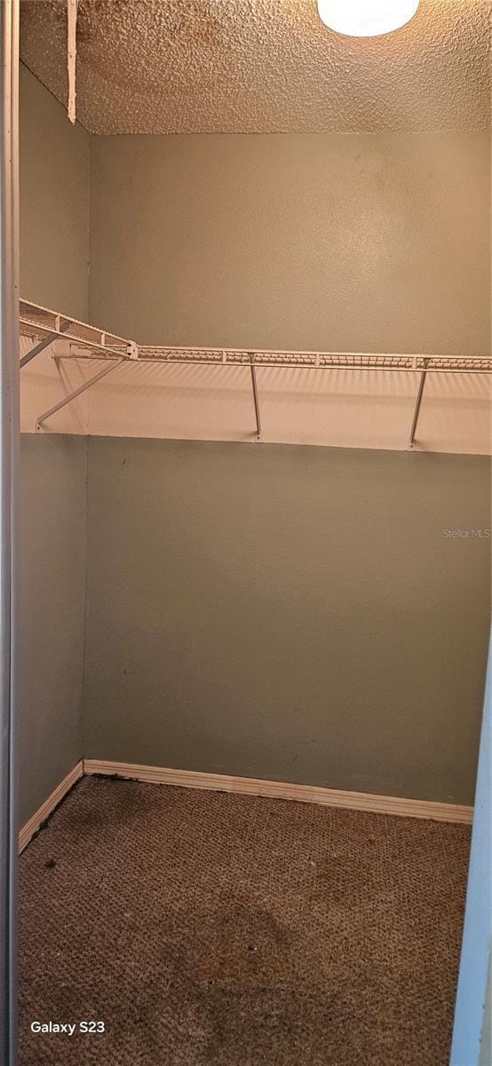 spacious closet with carpet flooring