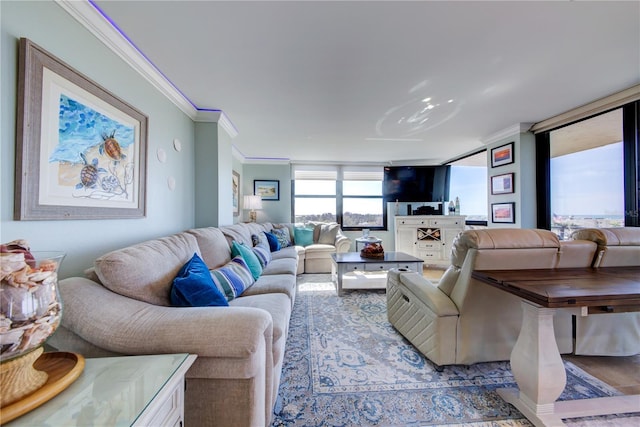 living area with crown molding