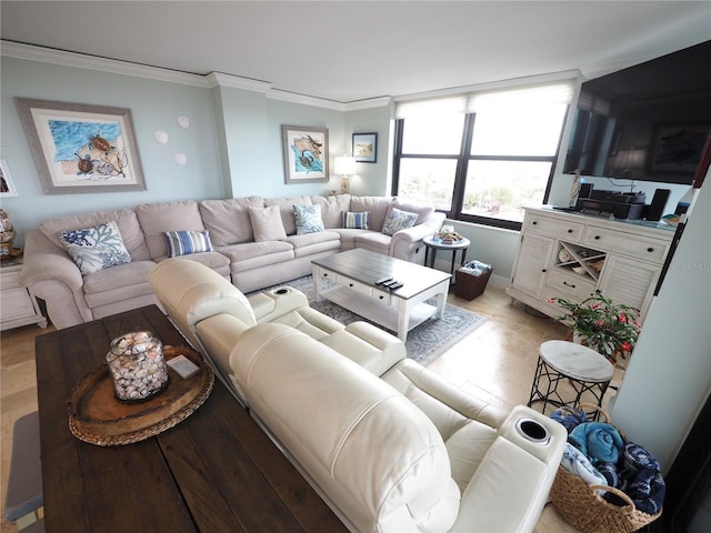 living area with ornamental molding