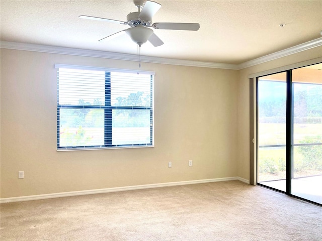 empty room featuring light carpet, ornamental molding, and a textured ceiling