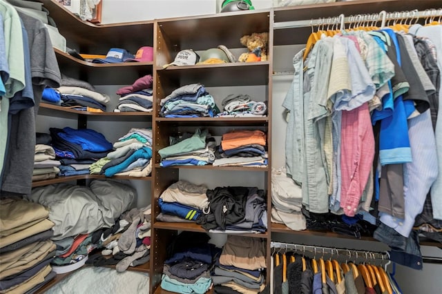 view of spacious closet