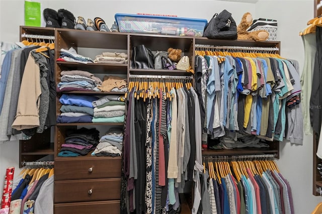 view of spacious closet