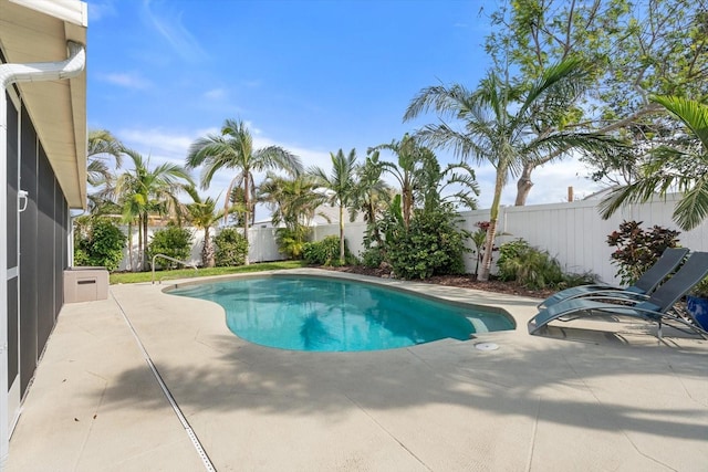 view of pool featuring a patio, a fenced backyard, and a fenced in pool